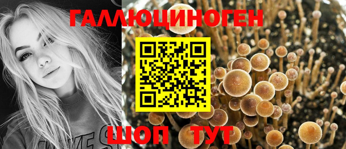 Балтийск  Галлюциногенные грибы мицелий  Вход с VPN 